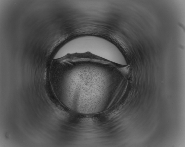 X0000091720404200709211005