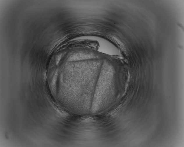 X0000091720405200709211005