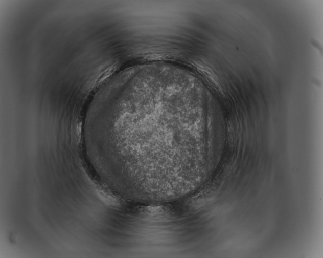 X0000091720406200709211005