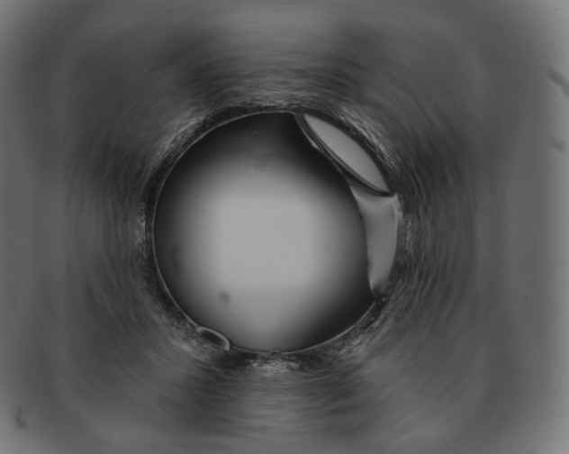 X0000091720407200709211005