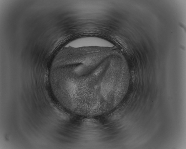 X0000091720408200709211005