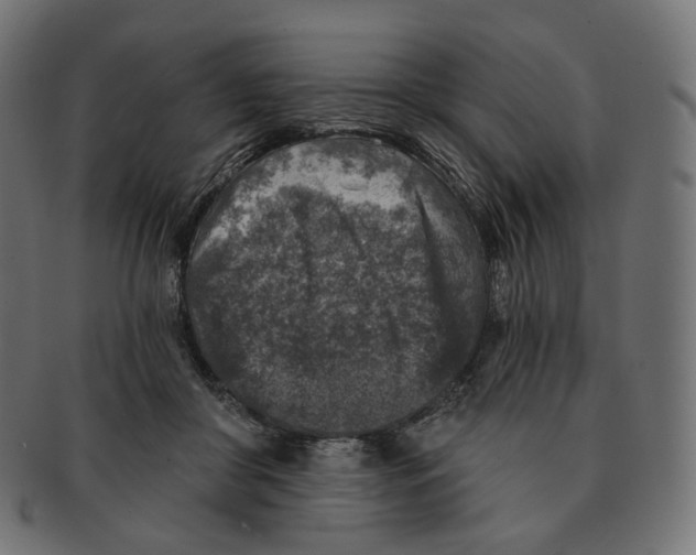 X0000091720410200709211005