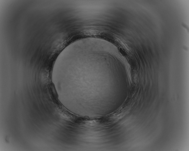 X0000091720411200709211005