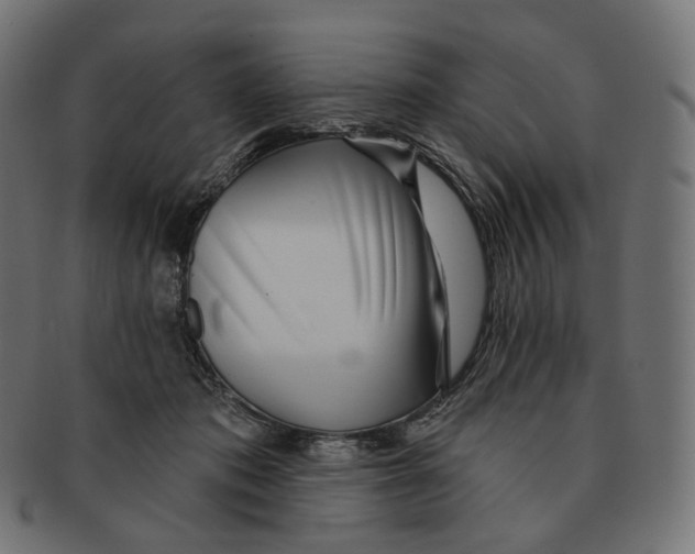 X0000091720413200709211005