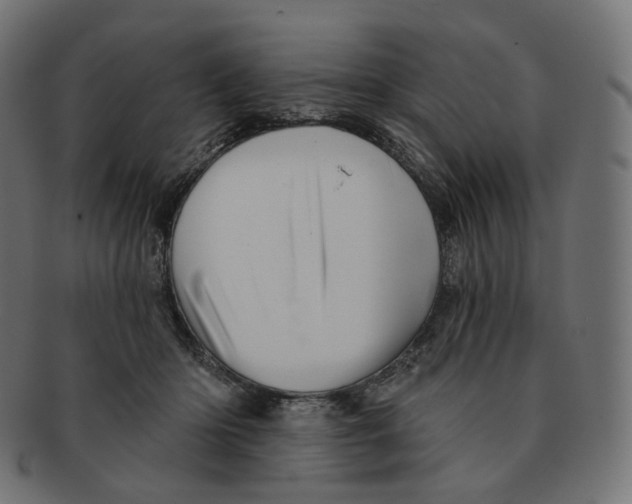 X0000091720414200709211005