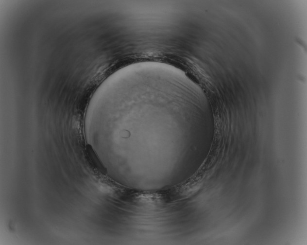 X0000091720415200709211005