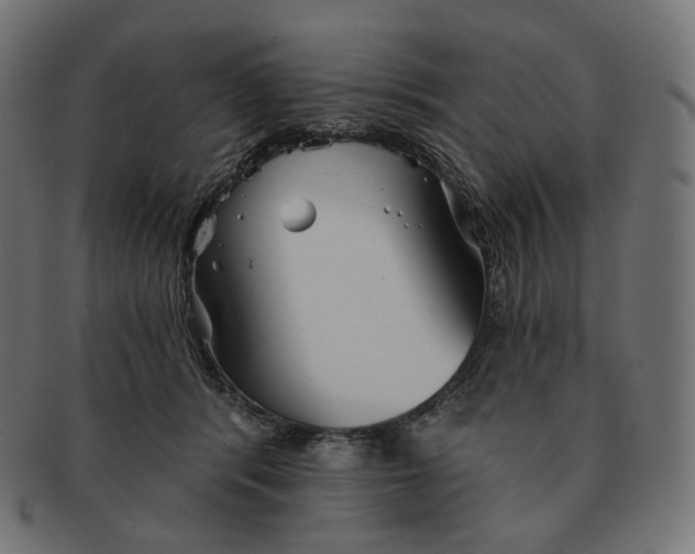 X0000091720416200709211005