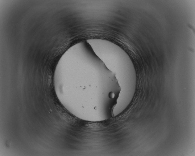 X0000091720417200709211005