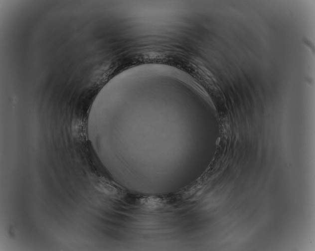 X0000091720419200709211005