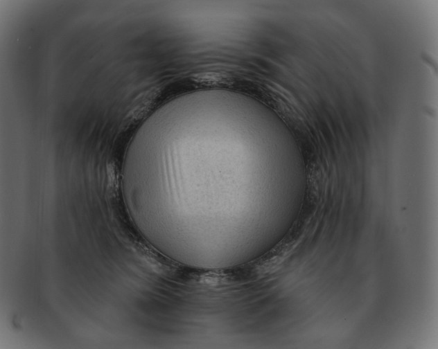 X0000091720420200709211005