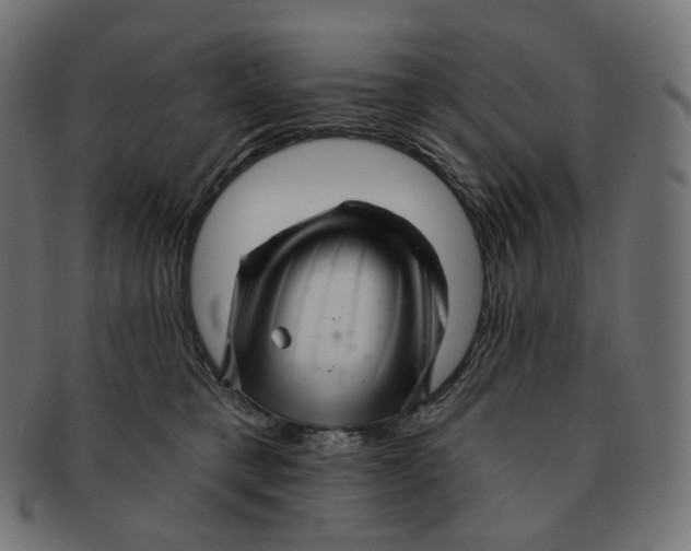 X0000091720421200709211005