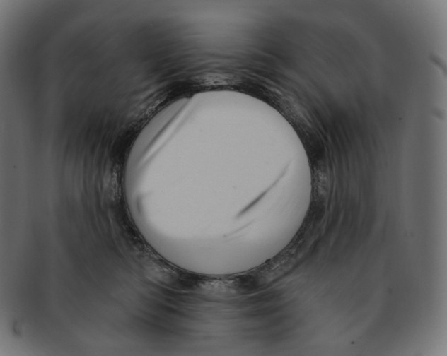 X0000091720422200709211005