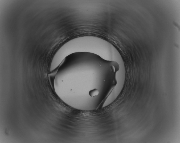 X0000091720423200709211005