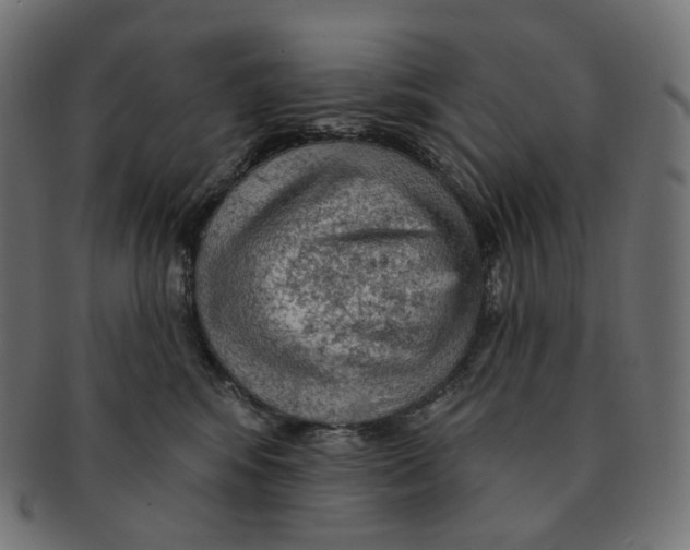 X0000091720424200709211005