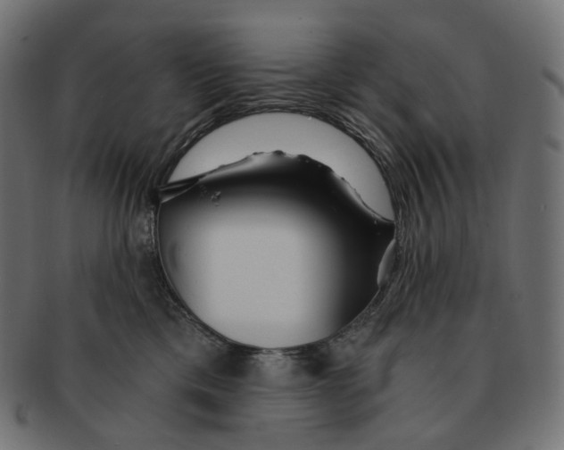 X0000091720425200709211005