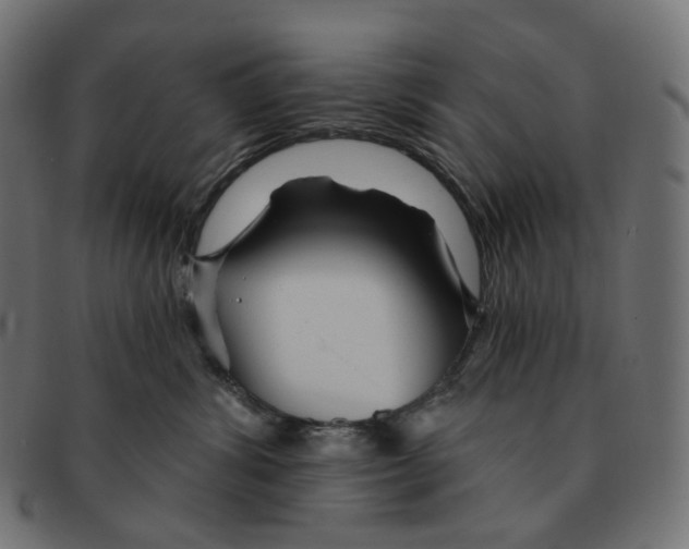 X0000091720428200709211004