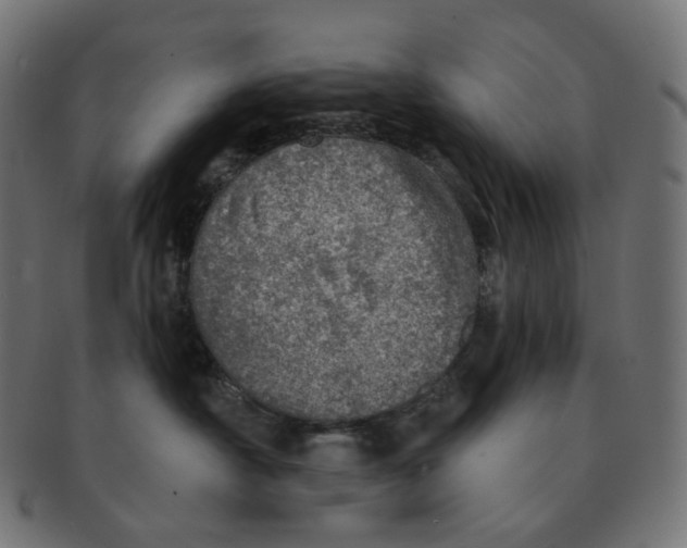 X0000091720430200709211004