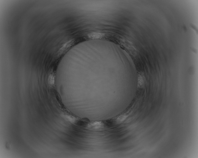 X0000091720431200709211004