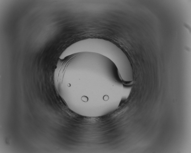 X0000091720432200709211004