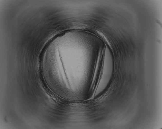 X0000091720435200709211004