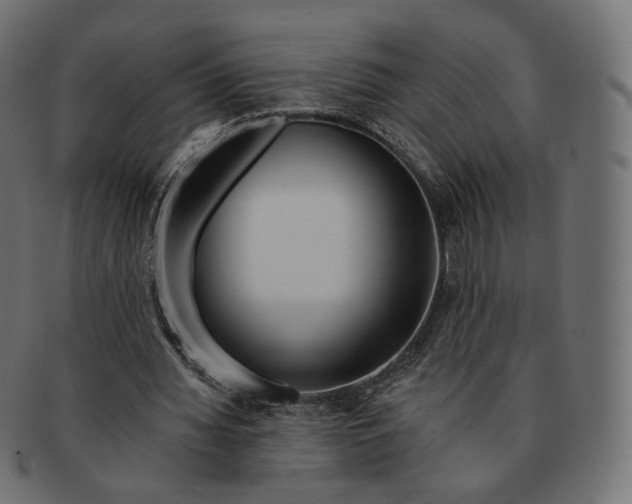 X0000091720436200709211004