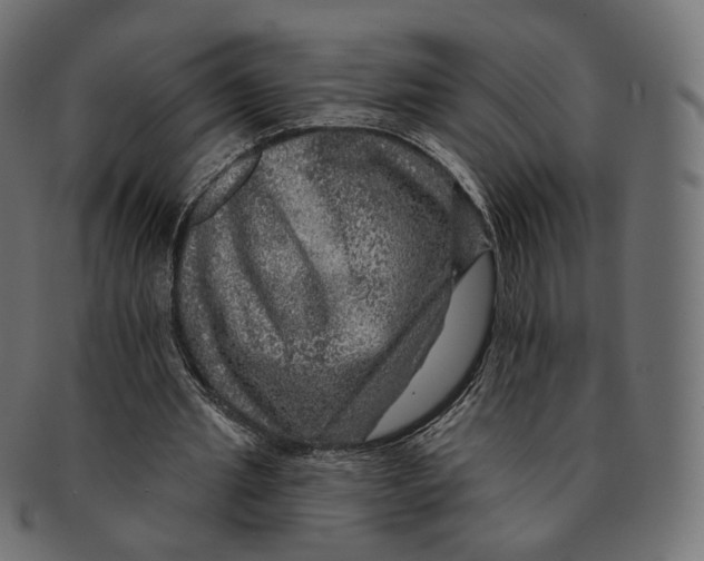 X0000091720437200709211004