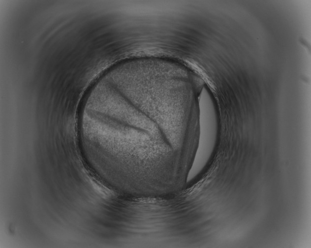 X0000091720439200709211004