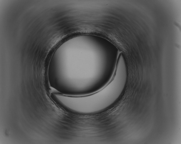 X0000091720440200709211004