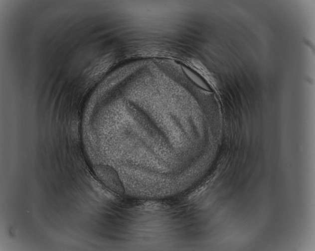 X0000091720441200709211004