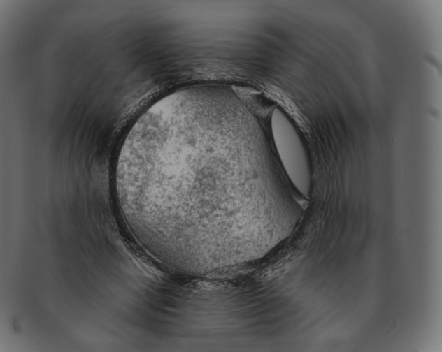 X0000091720442200709211004