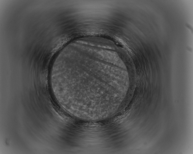 X0000091720443200709211004