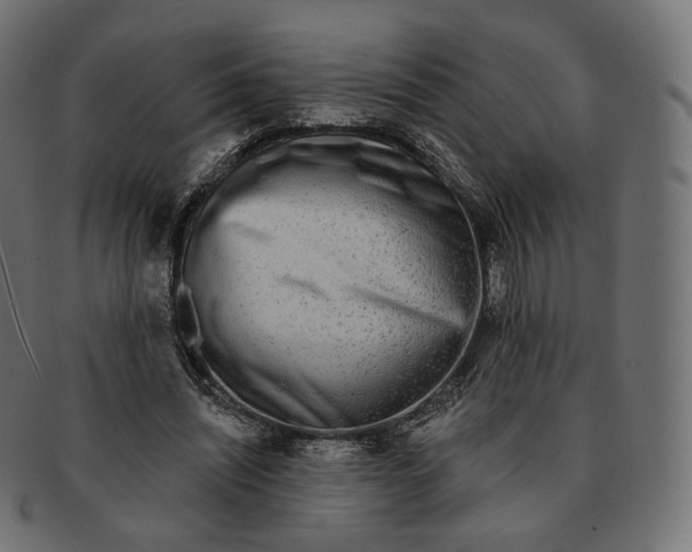 X0000091720444200709211004