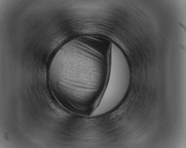 X0000091720446200709211004