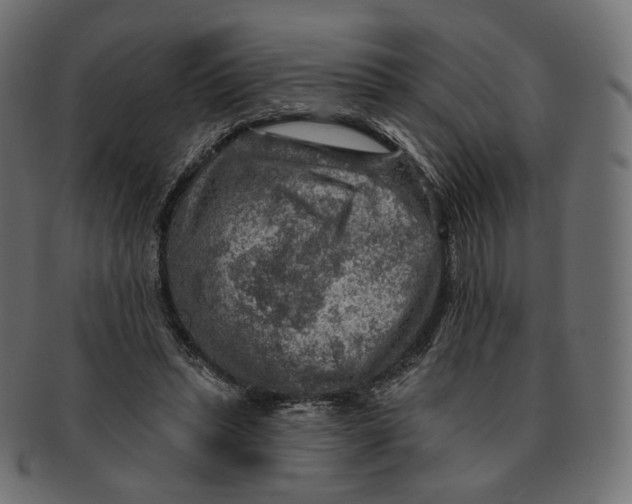 X0000091720447200709211004