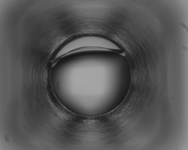 X0000091720448200709211004