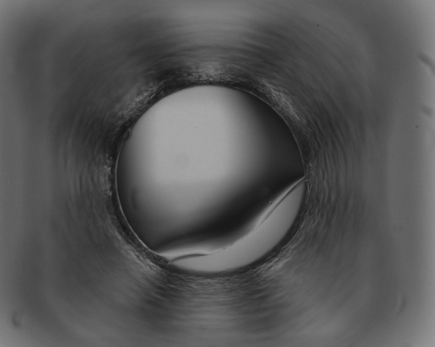 X0000091720450200709211004