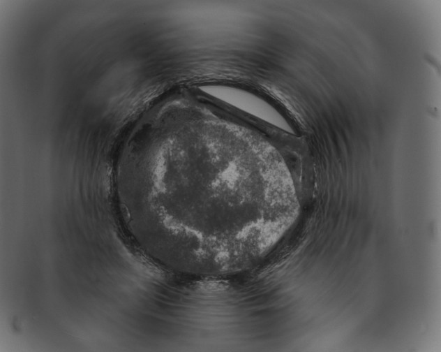 X0000091720451200709211004