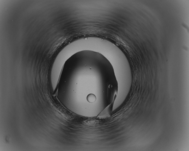 X0000091720452200709211004