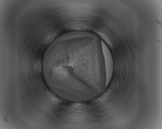 X0000091720453200709211004