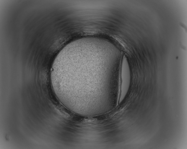 X0000091720455200709211004