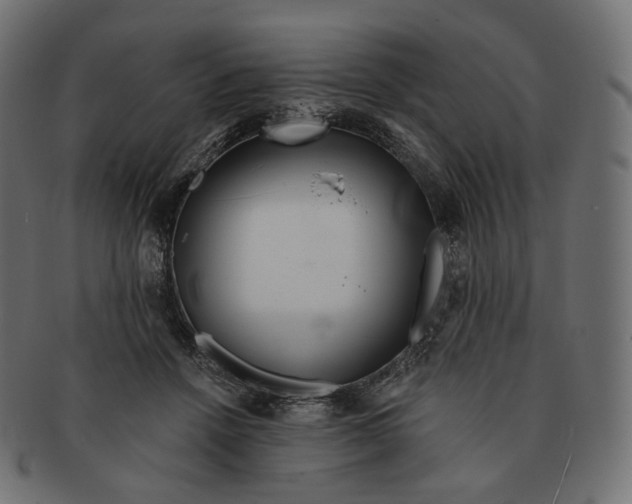 X0000091720456200709211004