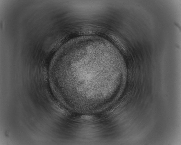 X0000091720457200709211004