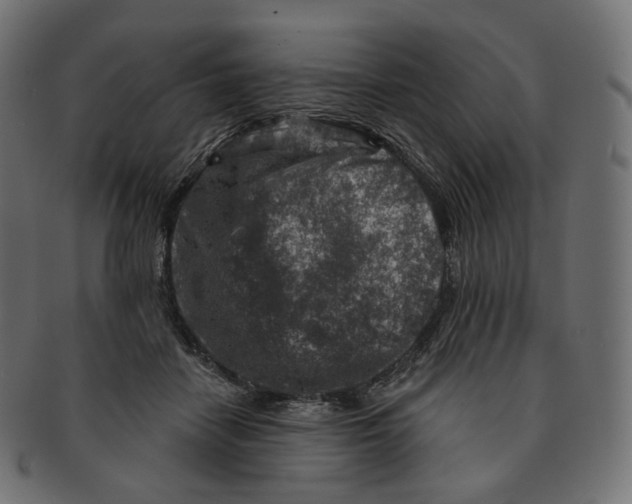 X0000091720458200709211004