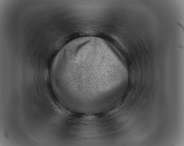 X0000091720459200709211004