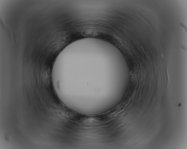 X0000091720460200709211004