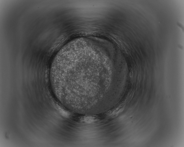 X0000091720462200709211004