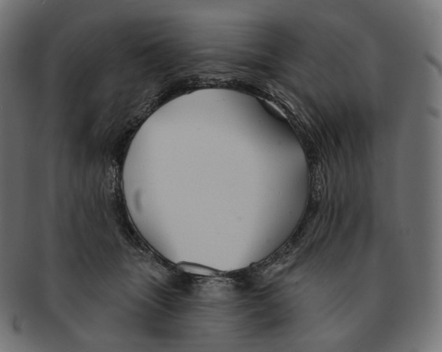 X0000091720463200709211004