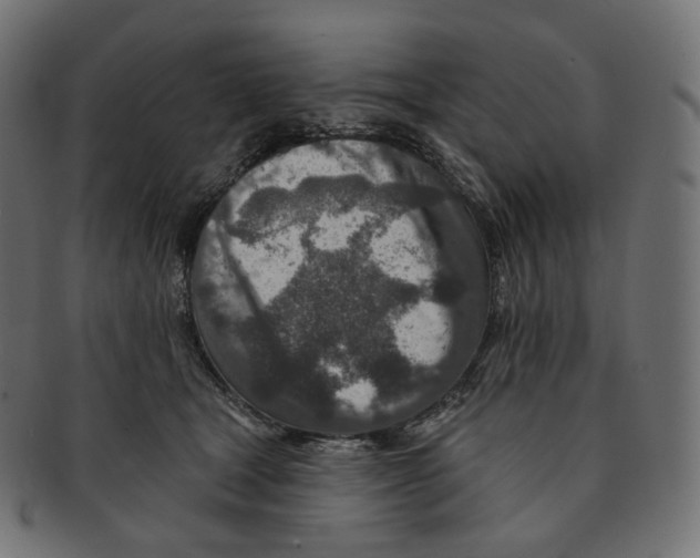 X0000091720465200709211004