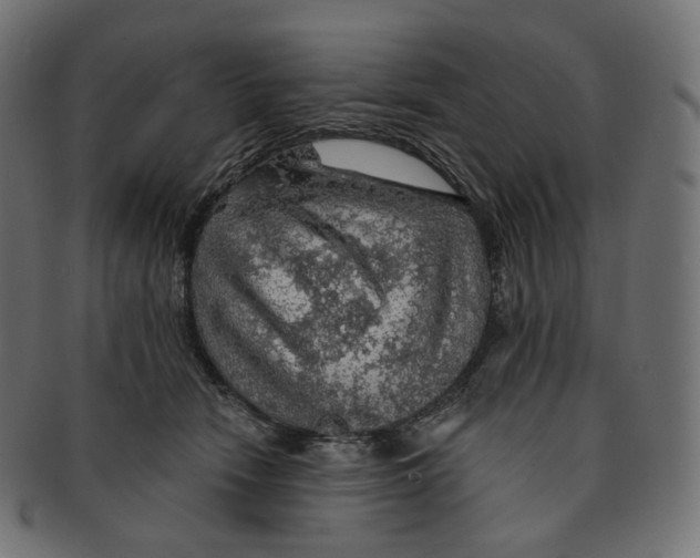 X0000091720466200709211004