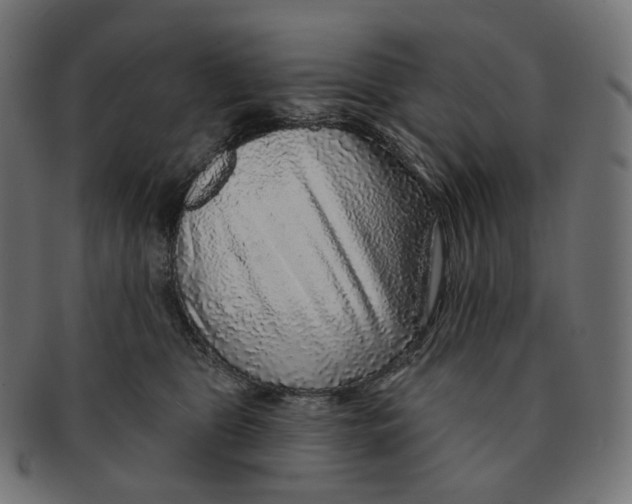 X0000091720469200709211004